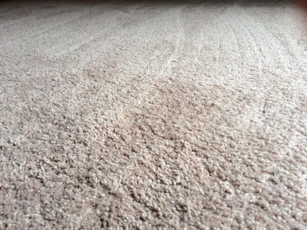 Plush Carpet Installation in Richmond